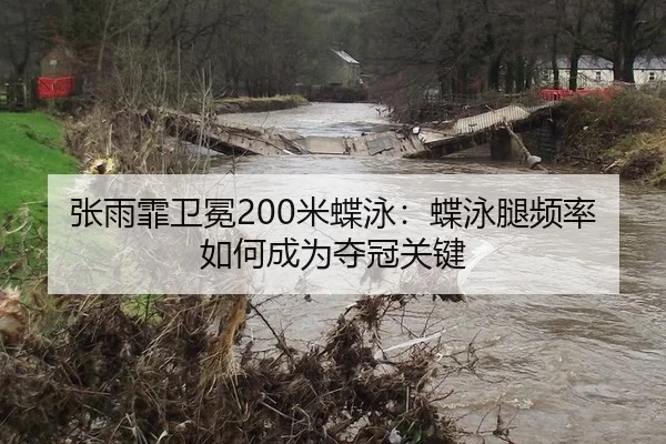 张雨霏卫冕200米蝶泳：蝶泳腿频率如何成为夺冠关键